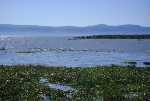 持続可能な水資源利用のための湖沼流域管理のイメージ